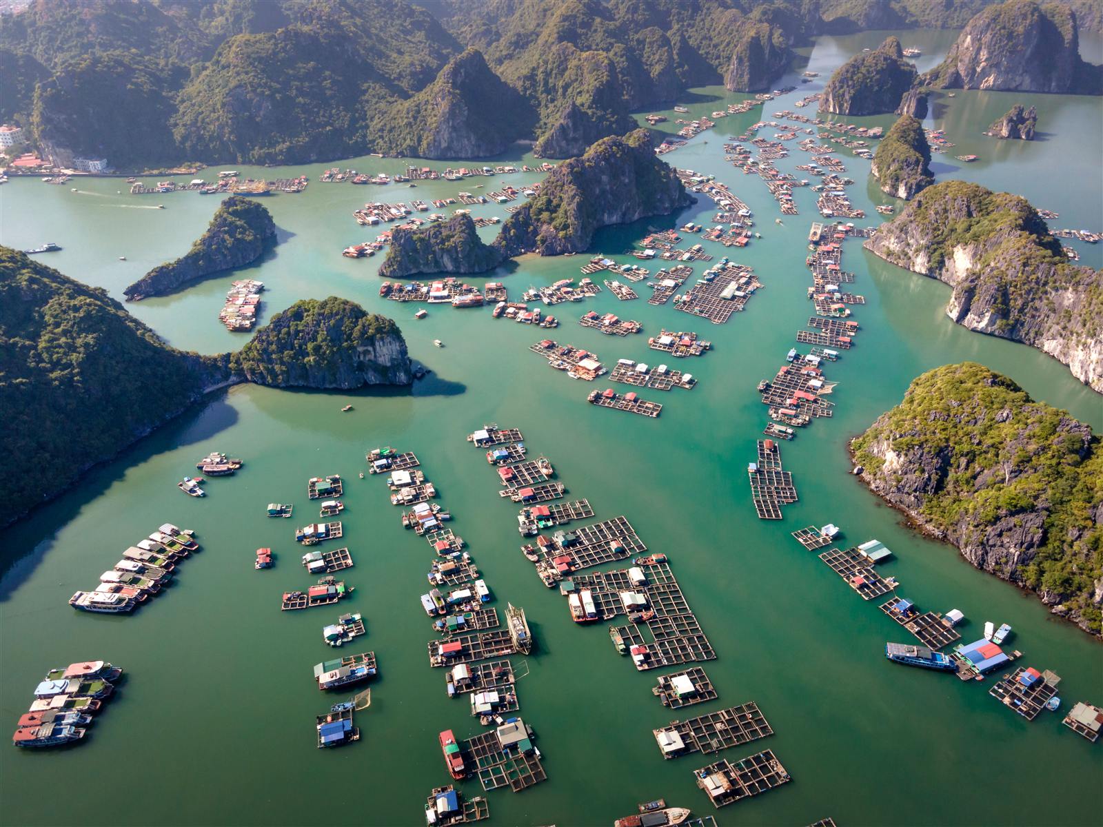 Floating houses of Cua Van fishing village in Ha Long Bay