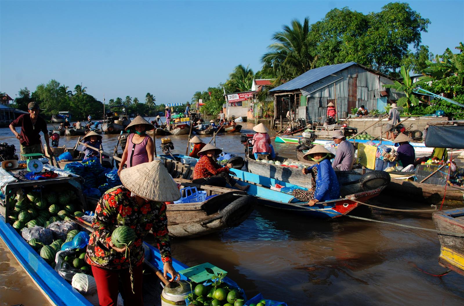 Floating flower orchards at Sa Dec Village in the Mekong Delta