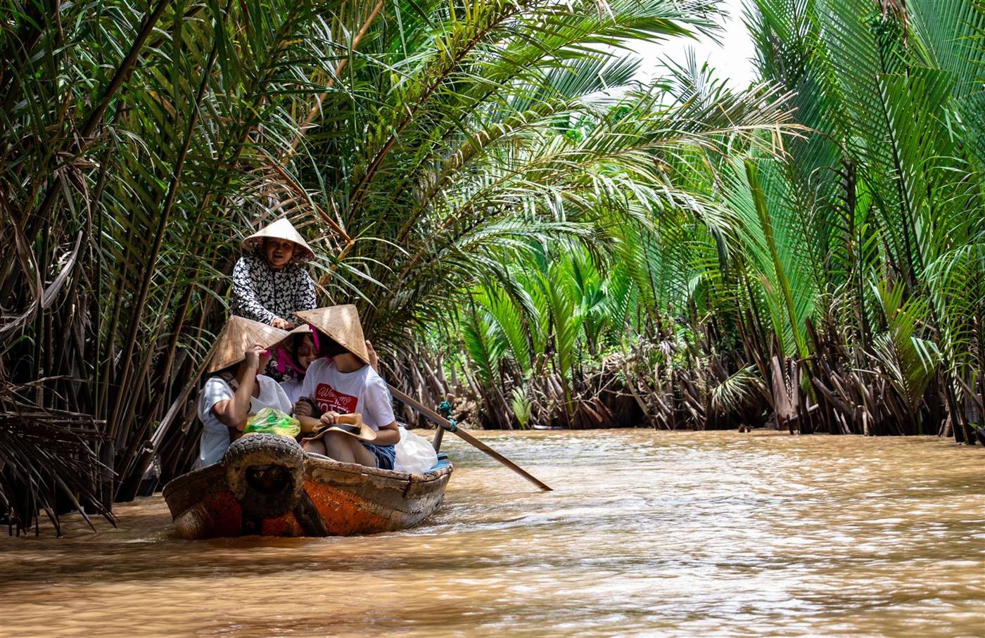 Fruit orchards in the Mekong Delta