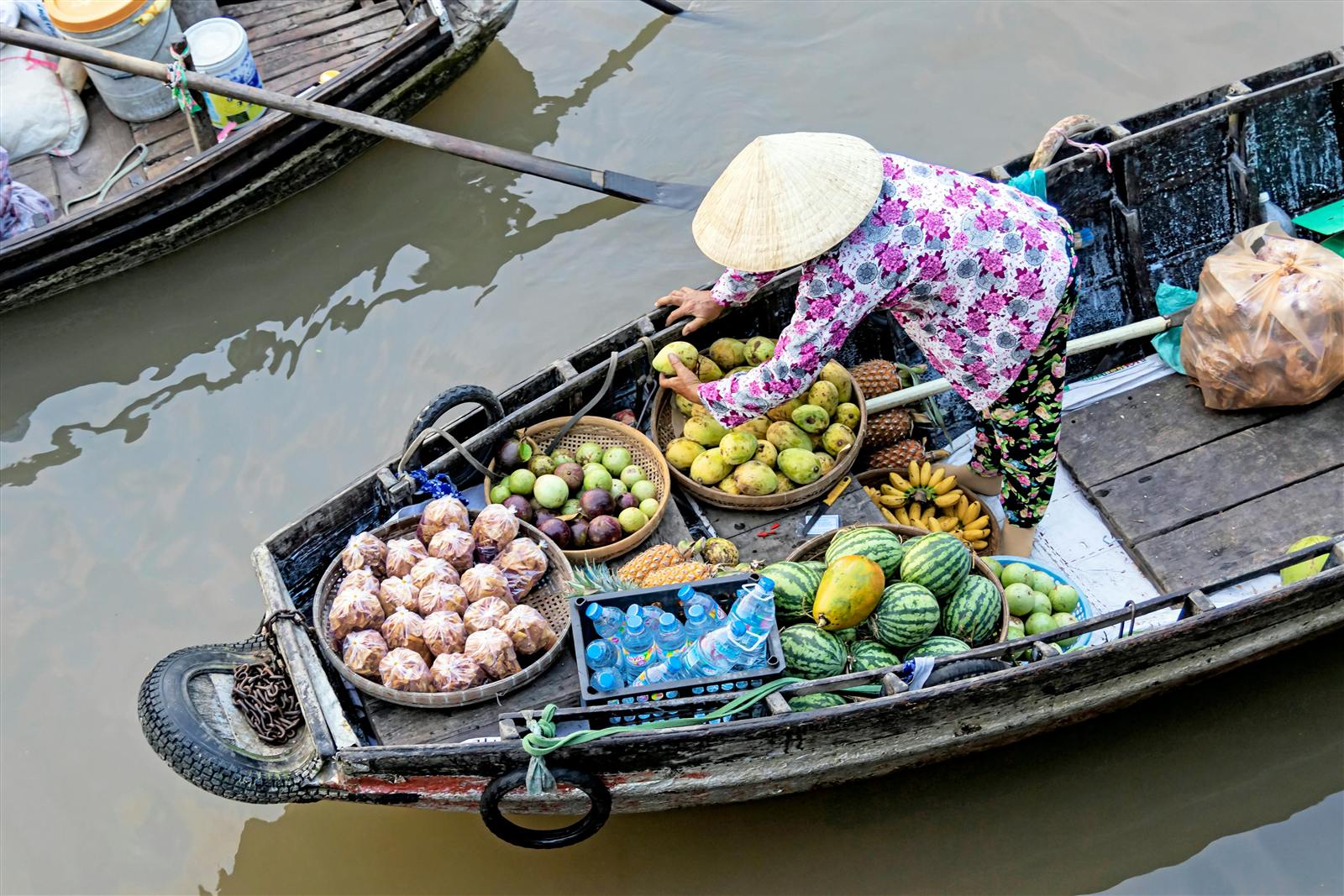 Mangroves in the Mekong Delta