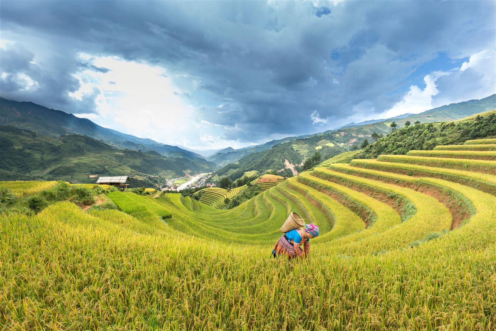 Mountain scenery in Mu Cang Chai
