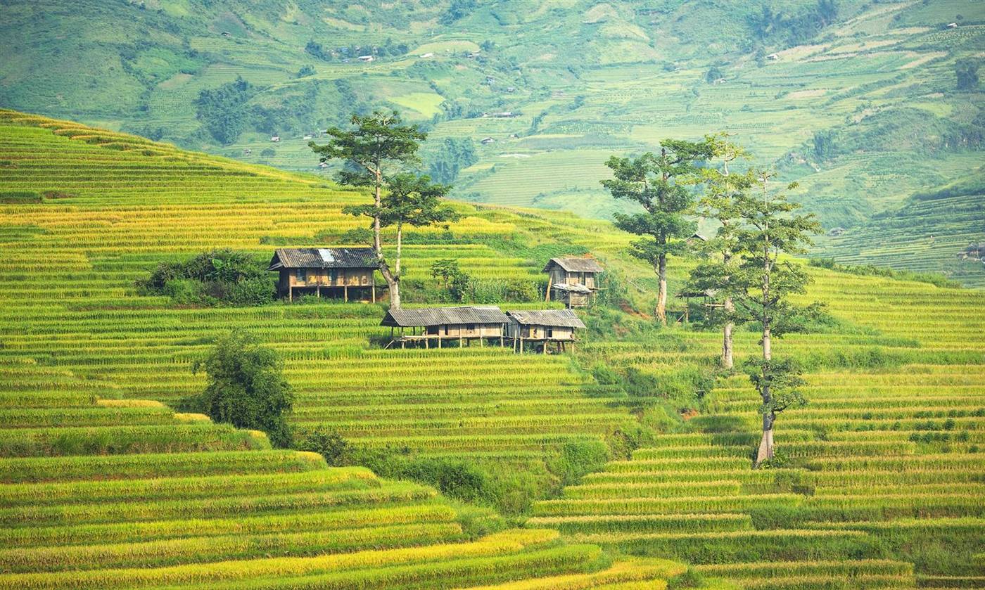 Stilt house village in Mu Cang Chai