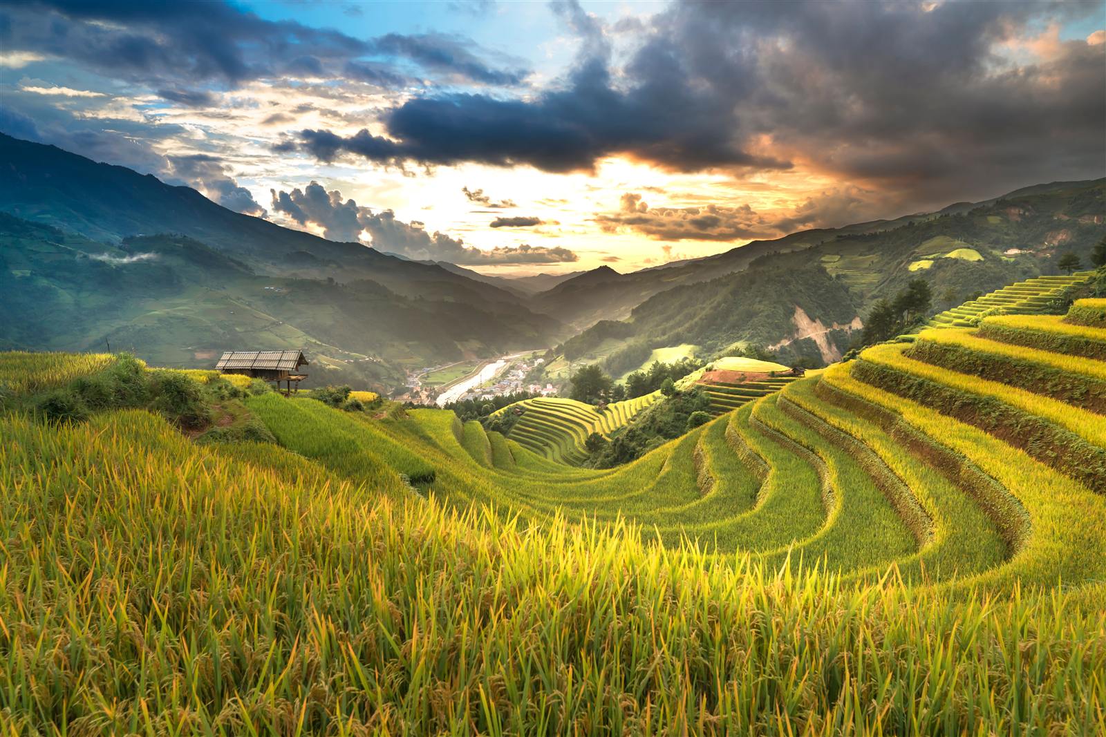 Horseshoe-shaped rice terraces at Mong Ngua Hill in Mu Cang Chai