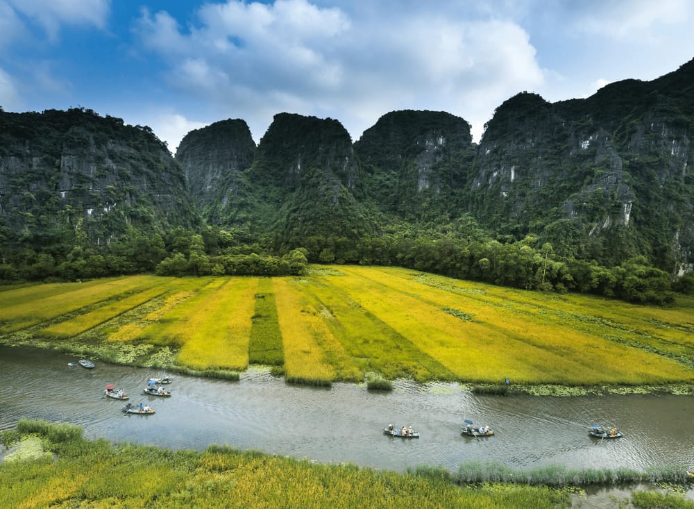 Karst landscape and rice paddies of Ninh Binh