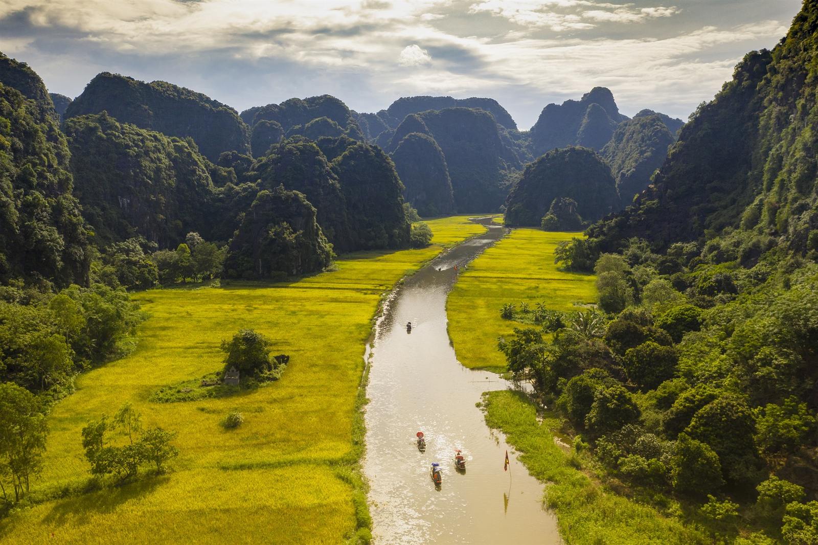 Boat drifting past limestone karsts and rice paddies in Ninh Binh, Vietnam