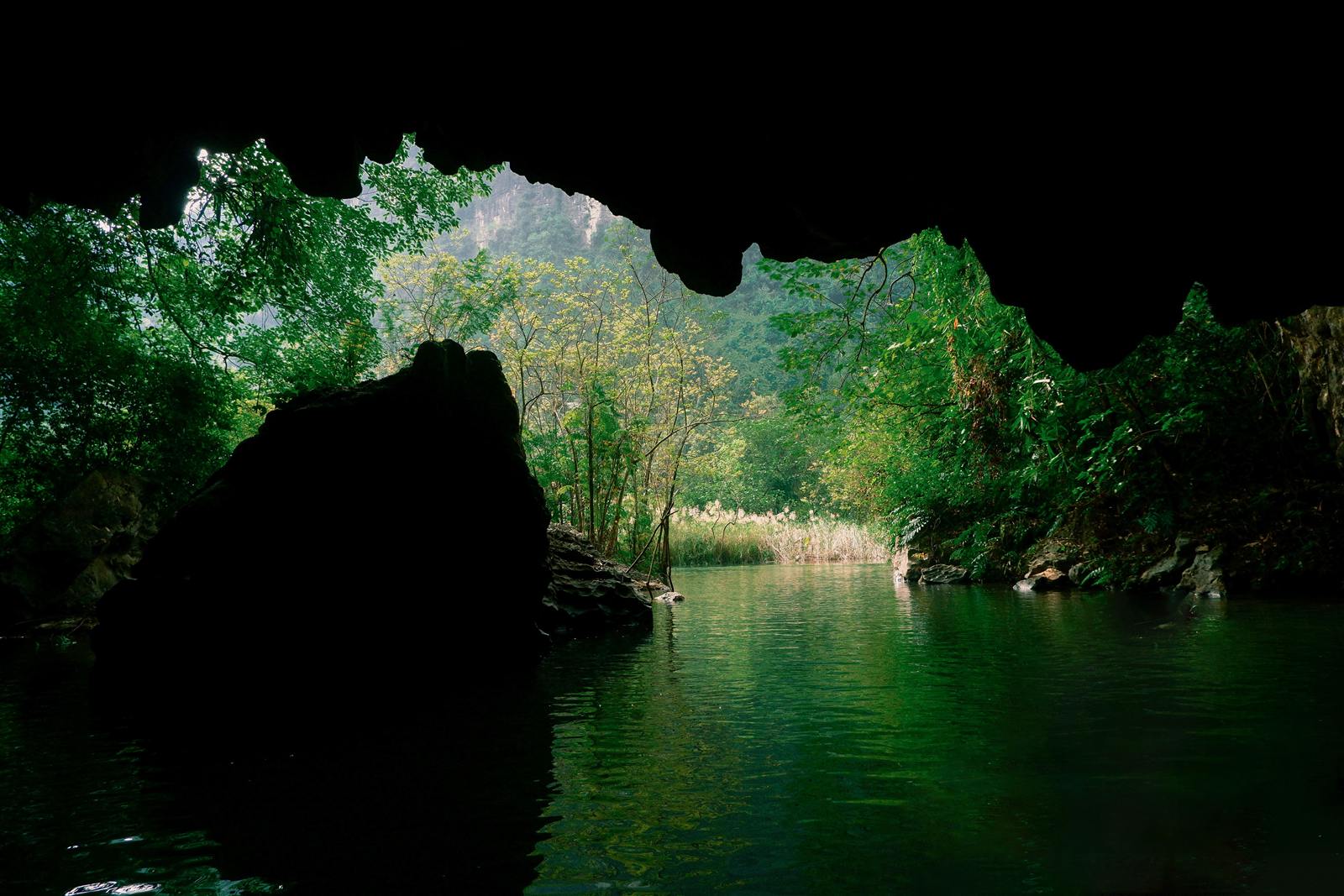 Jungle scenery in Phong Nha-Ke Bang National Park