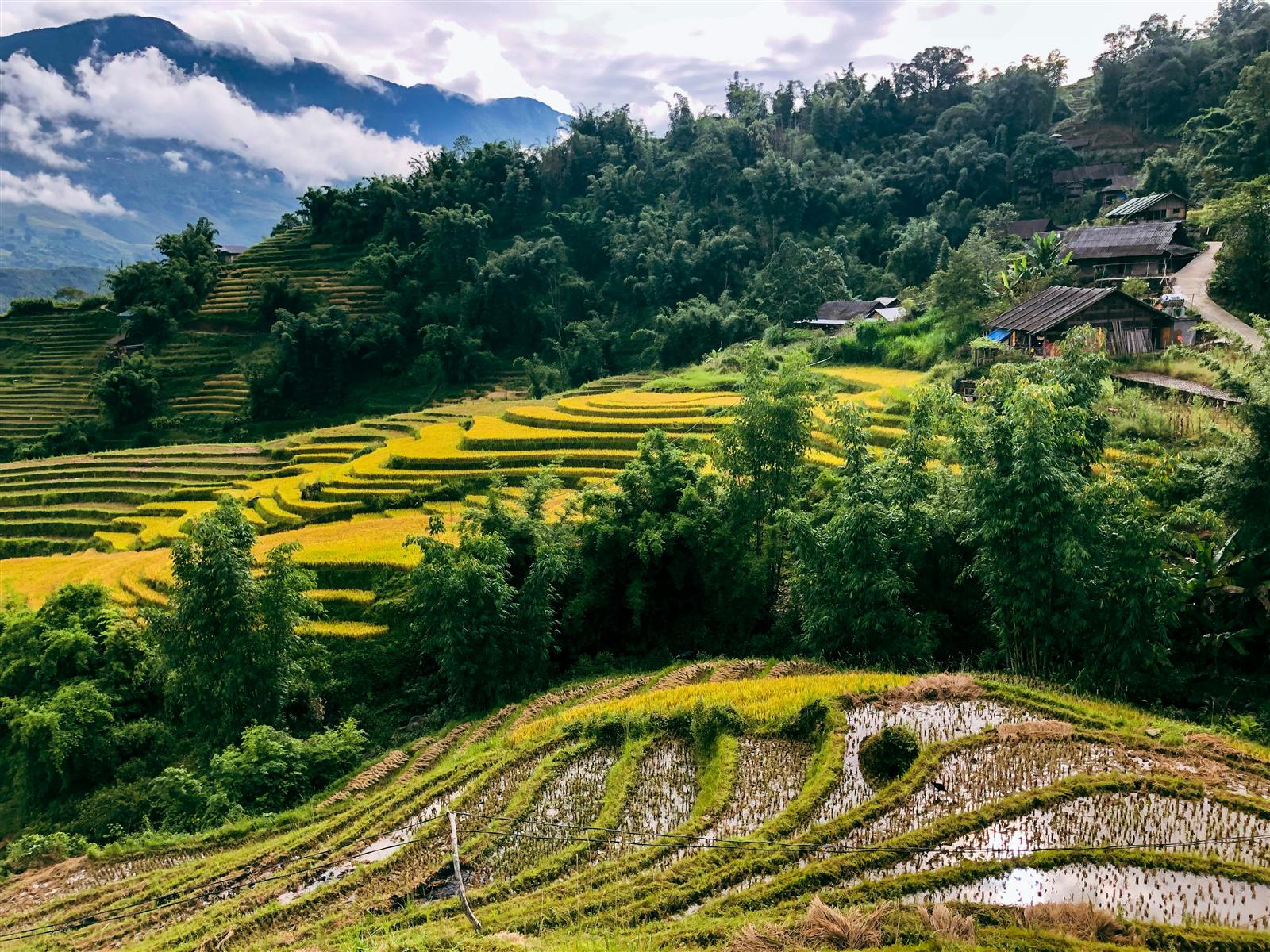 Rice terraces and Thai stilt village in Pu Luong