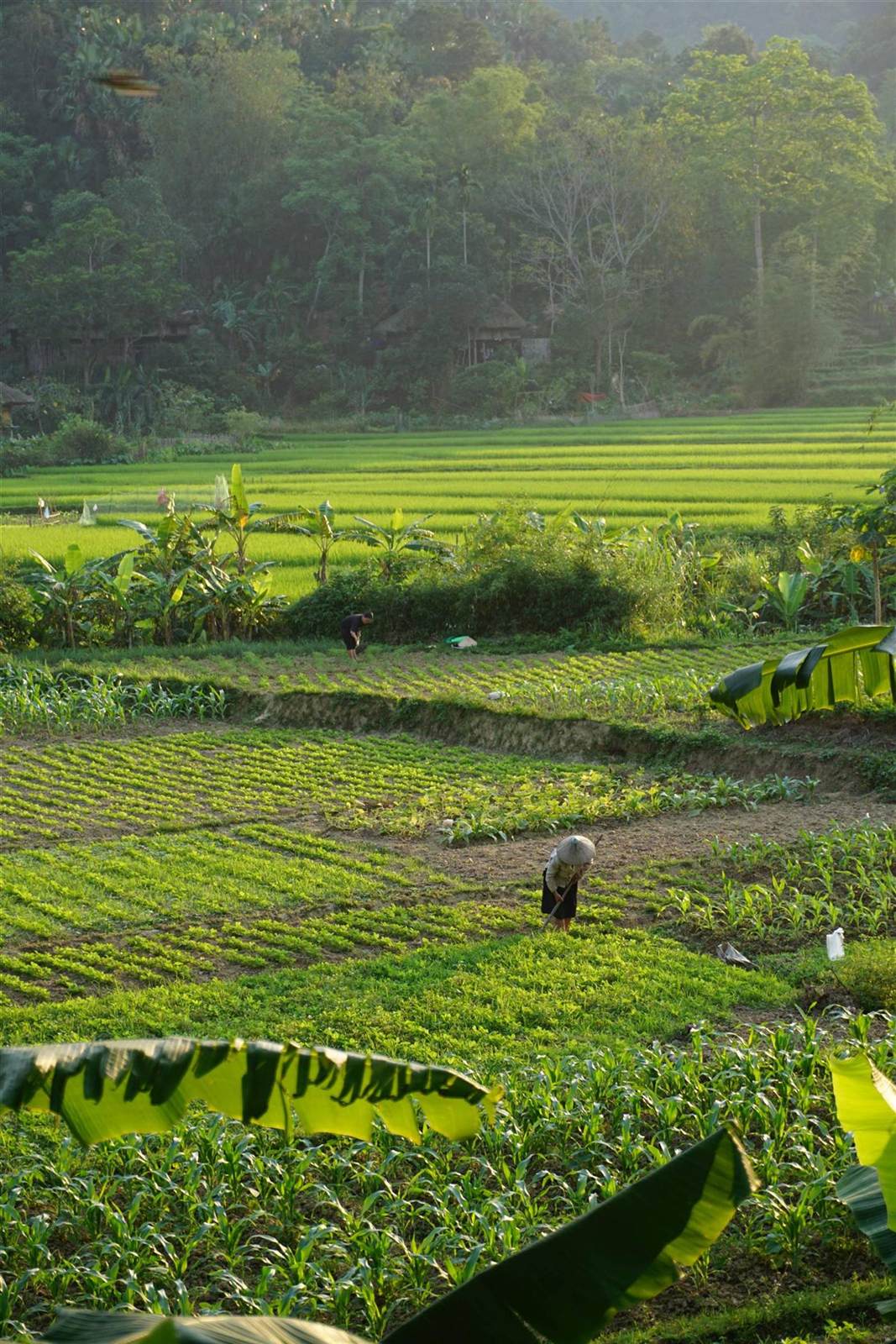 Kho Muong Village in Pu Luong