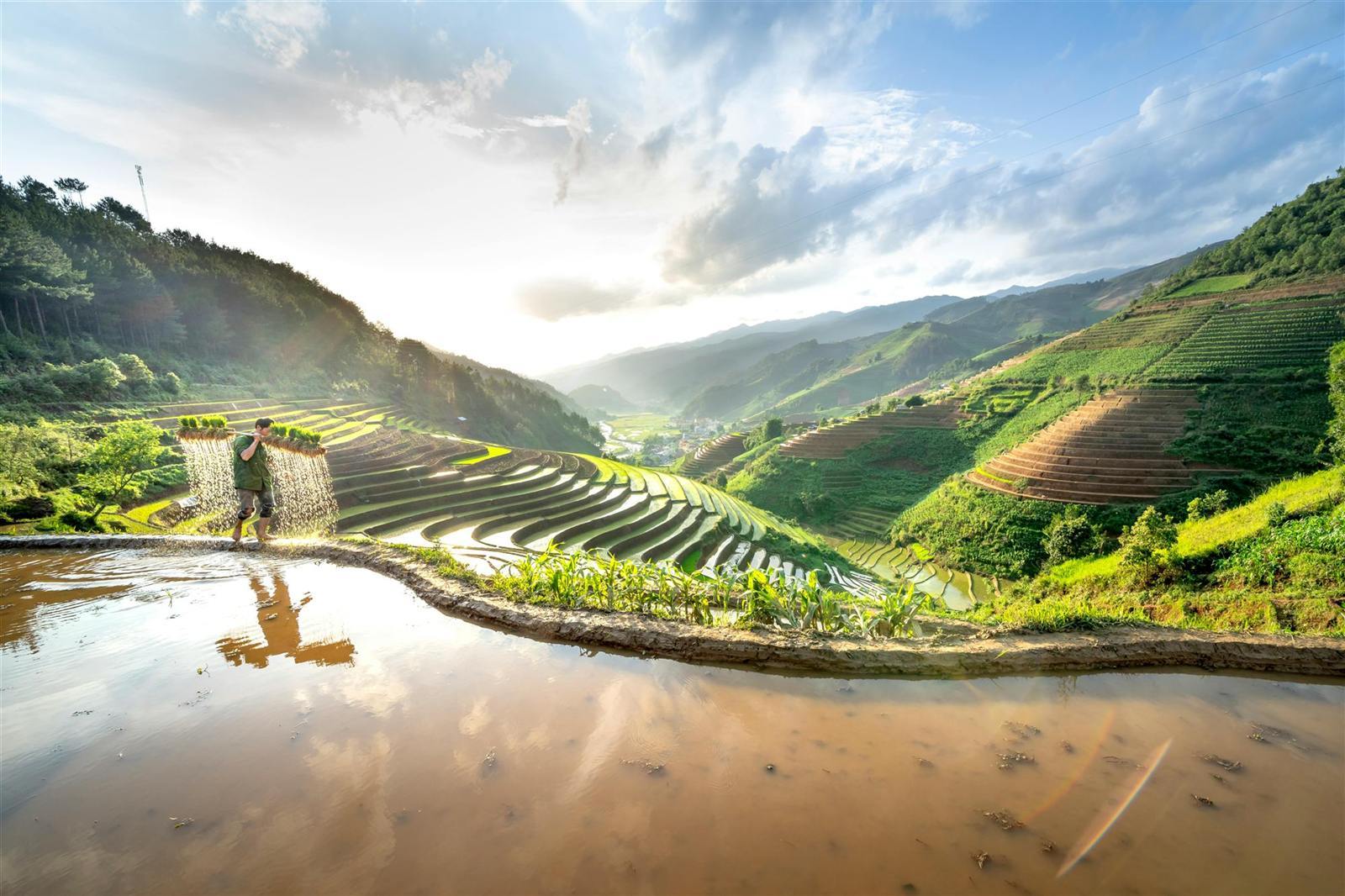 Golden light over the terraced rice fields of Sapa at sunrise