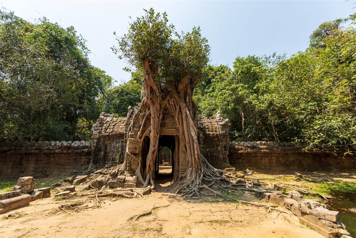 Angkor Wat temple in Siem Reap